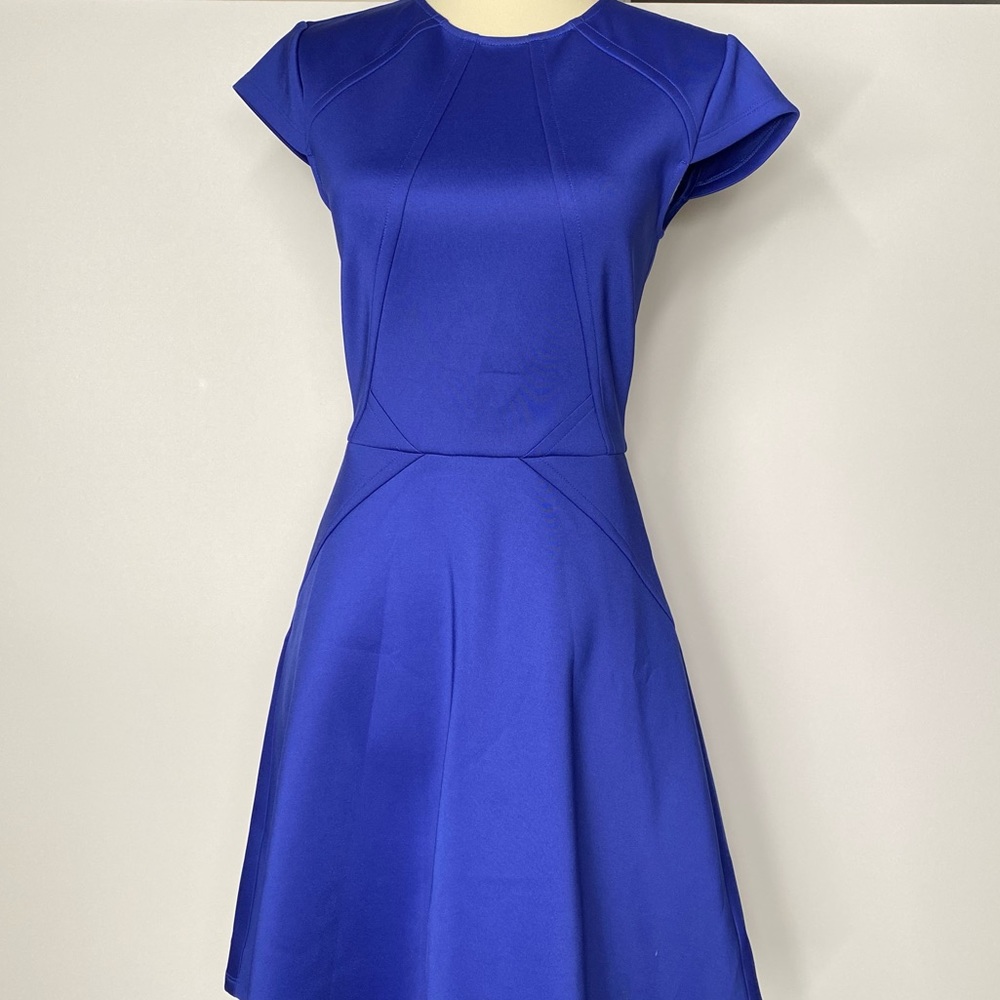 Ted Baker Skater Dress
